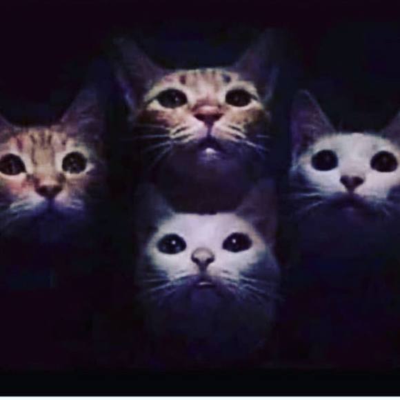 Meet your Posher, Erica - Picture 1 of 1